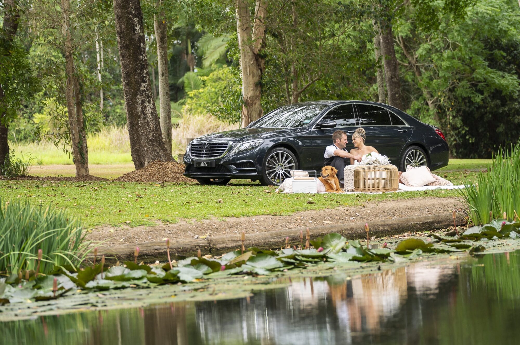 Wedding Transfers