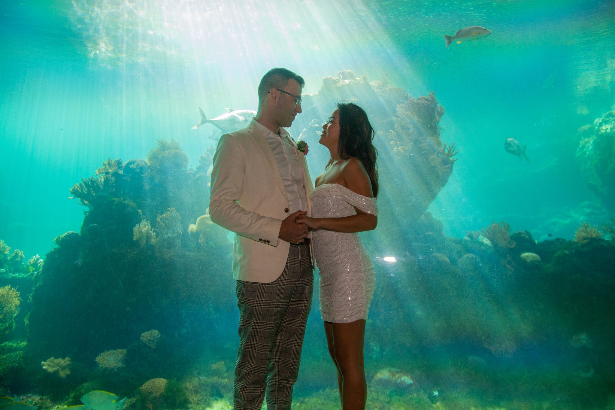 Bride and groom in front of a large aquarium tank