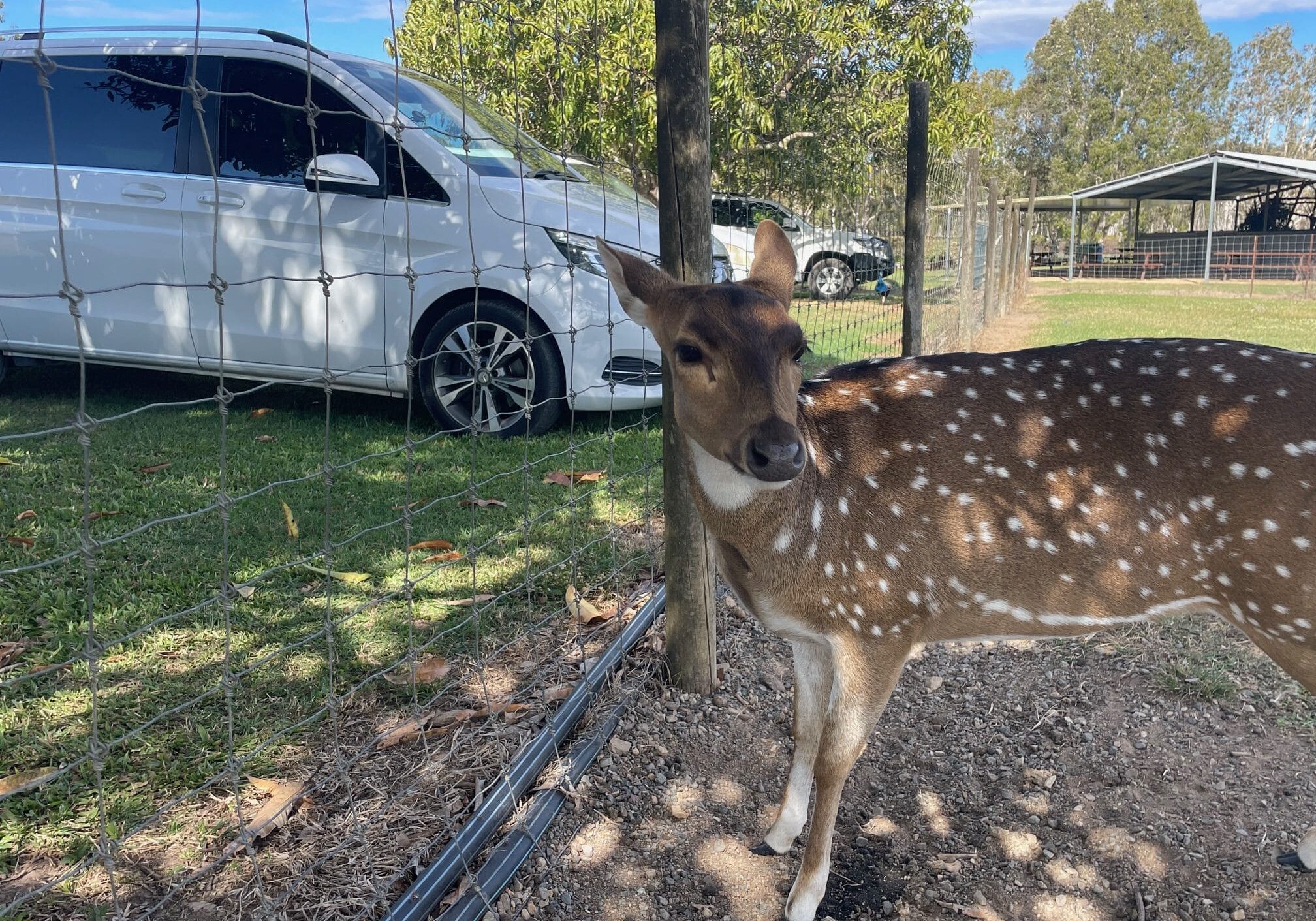 Local Attractions near Whitsunday Airport